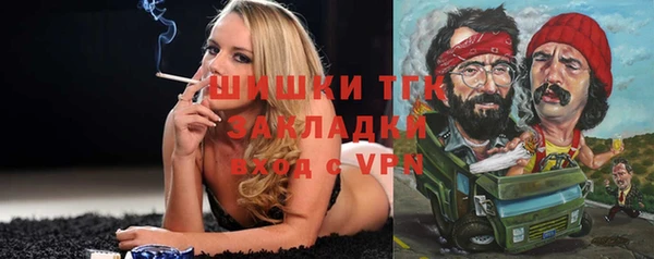 стаф Дмитров