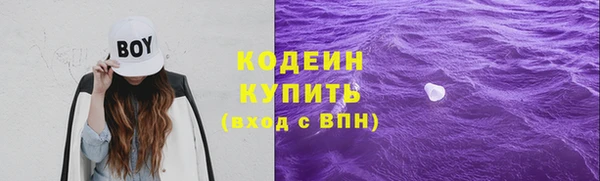 стаф Дмитров