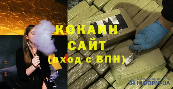 стаф Дмитров