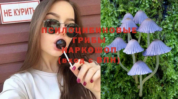 стаф Дмитров