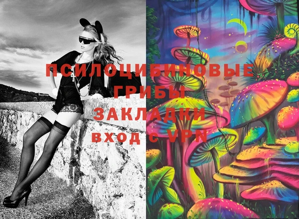 стаф Дмитров