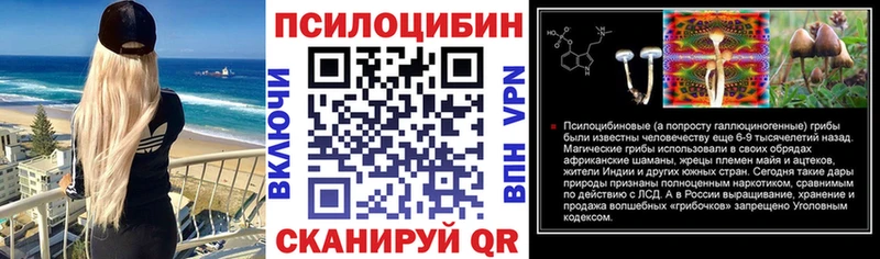 Купить где  Мезень  Галлюциногенные грибы Magic Shrooms 